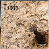 World Music Orchestra - TUNDRI profile picture