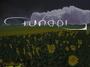 World Music Orchestra - TUNDRI profile picture