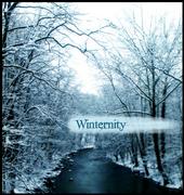 Winternity profile picture