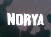 Norya profile picture