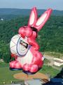 Energizer Bunny profile picture