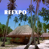 REEXPO profile picture