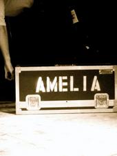 AMELIA CRASHING OVER THE PACIFIC OUT NOW! profile picture