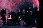 Therion Greece profile picture