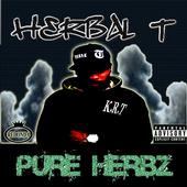 HERBz Music Int profile picture