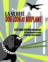 DOG LOOK AT AIRPLANE (NEW SONGS UP!!!) profile picture