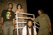 pure fiyah reggae band profile picture