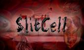 SlitCell profile picture