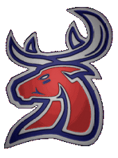 Southampton Stags profile picture