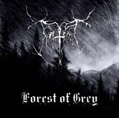 Forest of Grey profile picture