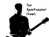 The Spectacular Flaws profile picture