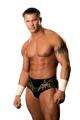 Randy Orton website for the fans profile picture