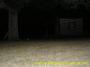 Texoma Area Paranormal Investigations profile picture