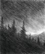 Forest of Grey profile picture