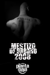 mestizo profile picture