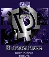 Bloodsucker - The Italian Deep Purple Tribute profile picture