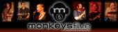 monkeysfive profile picture