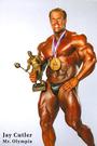 For All Bodybuilding Fans profile picture