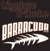 BARRACUDA profile picture