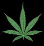 â™ â™ JU$T!Nâ™ â™ (THC) profile picture