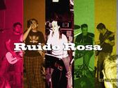 RUIDO ROSA profile picture