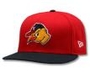 Toledo Mud Hens profile picture