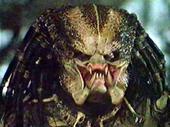 Predator profile picture