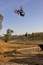 Metal Mulisha profile picture