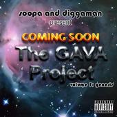 The GAVA Project profile picture