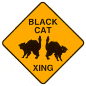 Black Cat Crossing profile picture