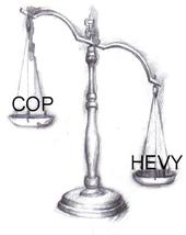 COP-HEVY INC. (TOPLIST US) profile picture