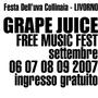 GrApE JuiCe FeSt profile picture