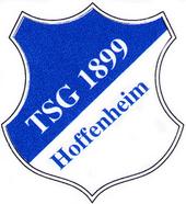 1899 Hoffenheim â™‚INOFFICIALâ™‚ profile picture