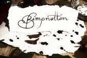 Bimpnotton profile picture