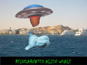 Reincarnated Alien Whale profile picture