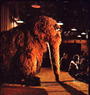 Mr.Snuffleupagus profile picture