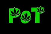 POT [New EP Out Now!] profile picture