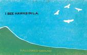 I SEE HAWKS IN L.A. profile picture