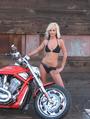 Reno Harley-Davidson/Buell Girls profile picture