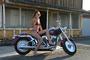 Reno Harley-Davidson/Buell Girls profile picture