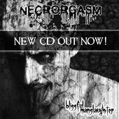 Necrorgasm (NEW SONGS UPLOADED!) profile picture