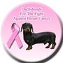 Breast Cancer Support Center profile picture