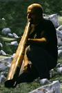 Didgeridoo is Peace profile picture