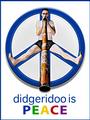 Didgeridoo is Peace profile picture