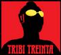 Tribi 30 profile picture