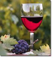 "Cheers to all that can enjoy a glass of wine profile picture