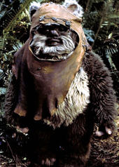 Wickett Ewok profile picture