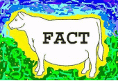 Fact Cow profile picture