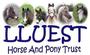 Lluest Horse and Pony Trust profile picture