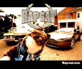 Rapcat profile picture